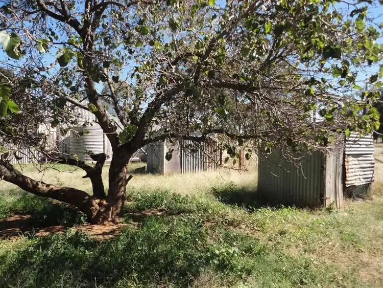 Seventh view of Homely house listing, 45 Airport Street, Temora NSW 2666