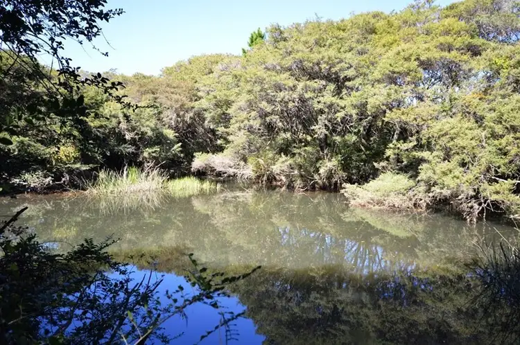 Seventh view of Homely land listing, Lot 13 Cavanaghs Road, Lowanna NSW 2450
