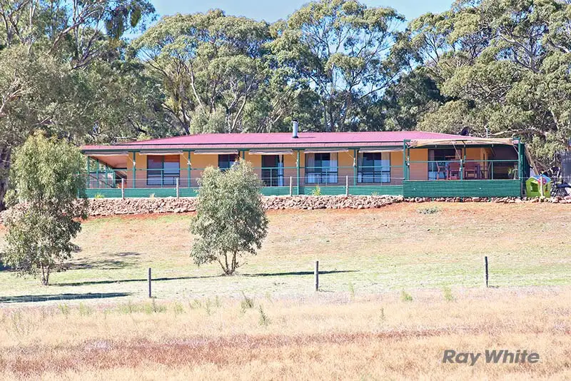 Main view of Homely house listing, 46 Koorama Road, Clare SA 5453