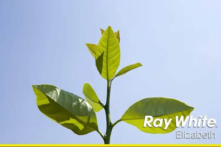 Lot 102 Bartlett Street, Elizabeth Downs SA 5113