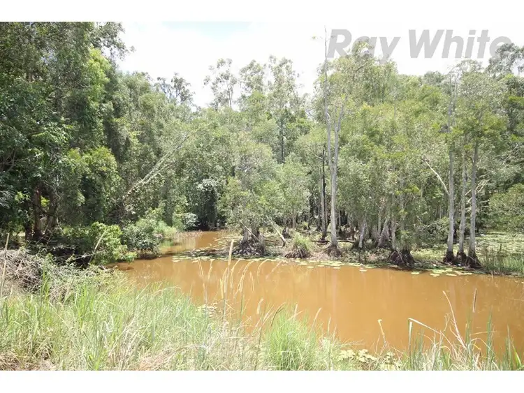 Fourth view of Homely rural property listing, 943 D'Aguilar Highway, Wamuran QLD 4512
