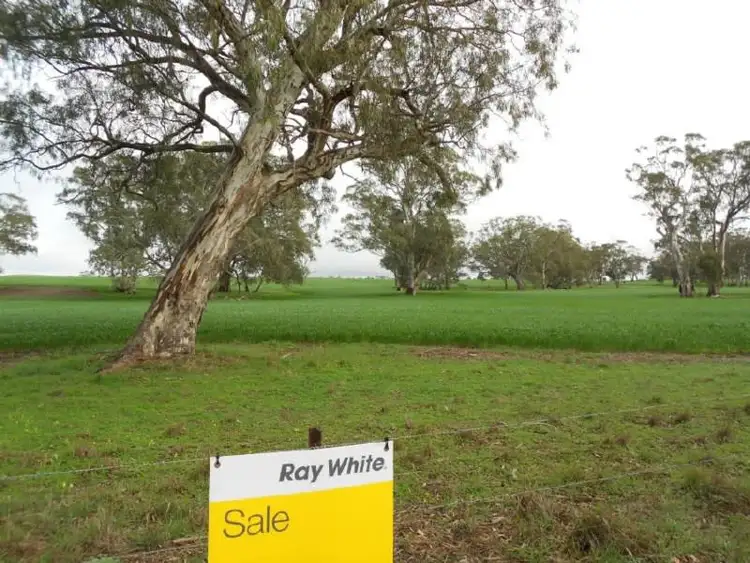 Sixth view of Homely rural property listing, 433 Golf Course Road, Bordertown SA 5268