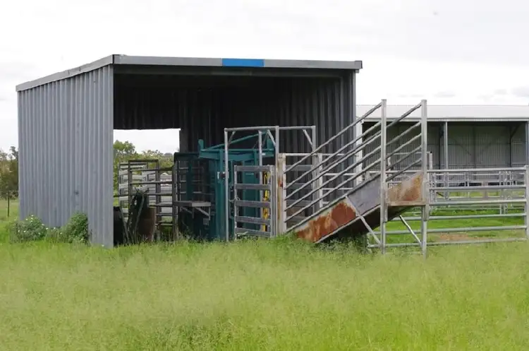 Fifth view of Homely rural property listing, 2233 'House Block' Elcombe Road, Bingara NSW 2404