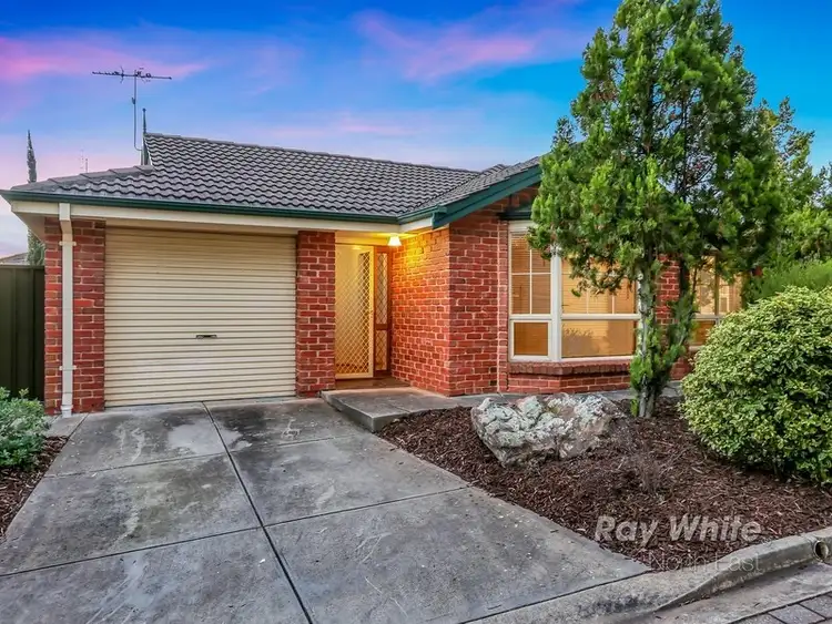 Main view of Homely house listing, 6/36 Kerry Street, Athelstone SA 5076