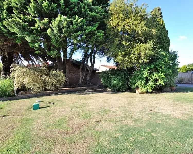 Main view of Homely house listing, 8 Buckle Court, Waikiki WA 6169