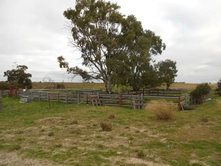 Seventh view of Homely rural property listing, Lot 10 Dukes Highway, Tintinara SA 5266