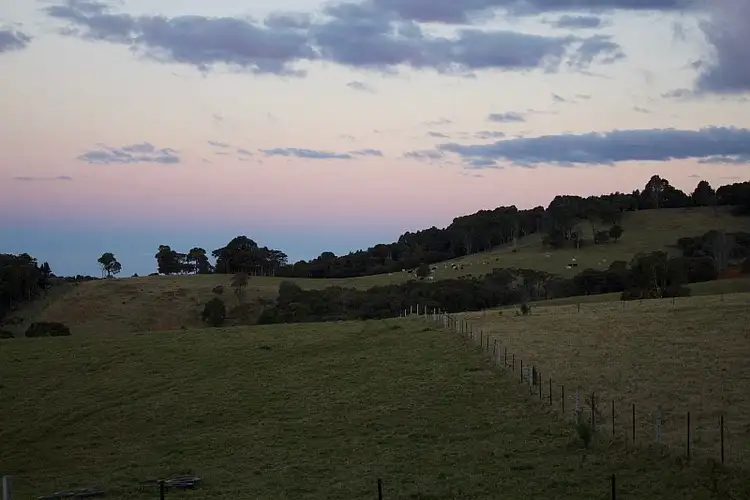 Fourth view of Homely rural property listing, 5615 Waterfall Way, Dorrigo NSW 2453