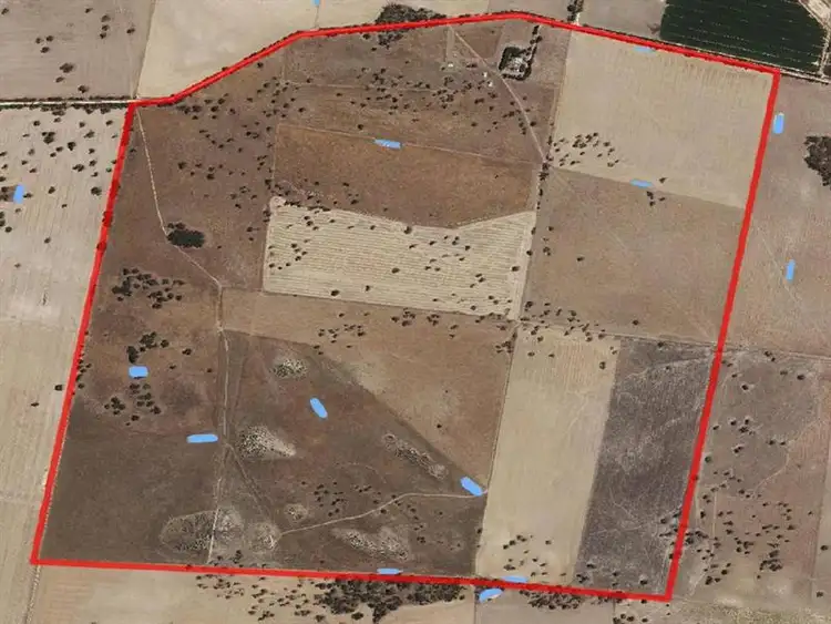 Fifth view of Homely rural property listing, 255 Wagenknecht Road, Bordertown SA 5268