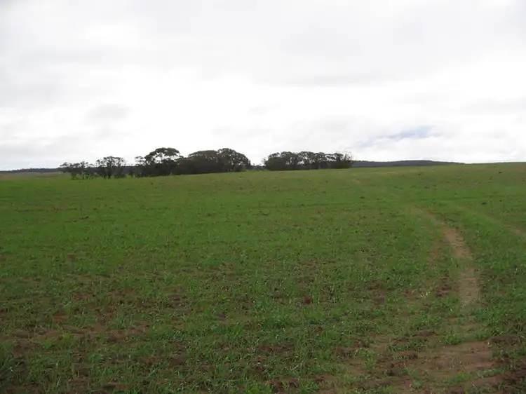 Seventh view of Homely rural property listing, 323 Hammat Road, Lameroo SA 5302