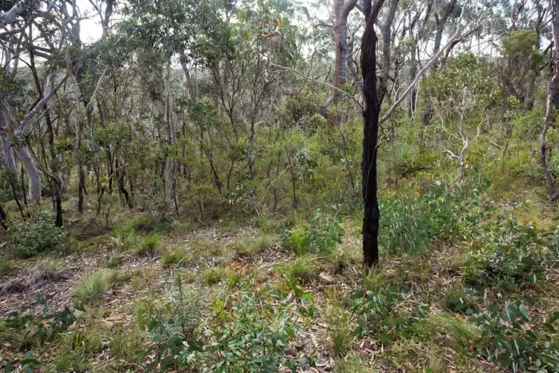 Main view of Homely land listing, Block 10 - Lot 171 and 127 DP 16449 - 44 Godson Avenue, Blackheath NSW 2785