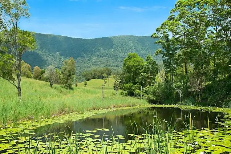 Third view of Homely rural property listing, 94 Starlight Way, Tyalgum NSW 2484
