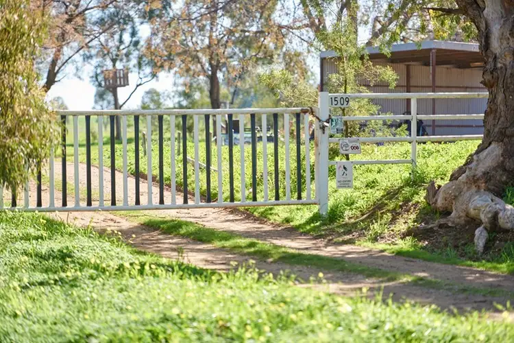 1509 Olympic Highway, Brucedale NSW 2650