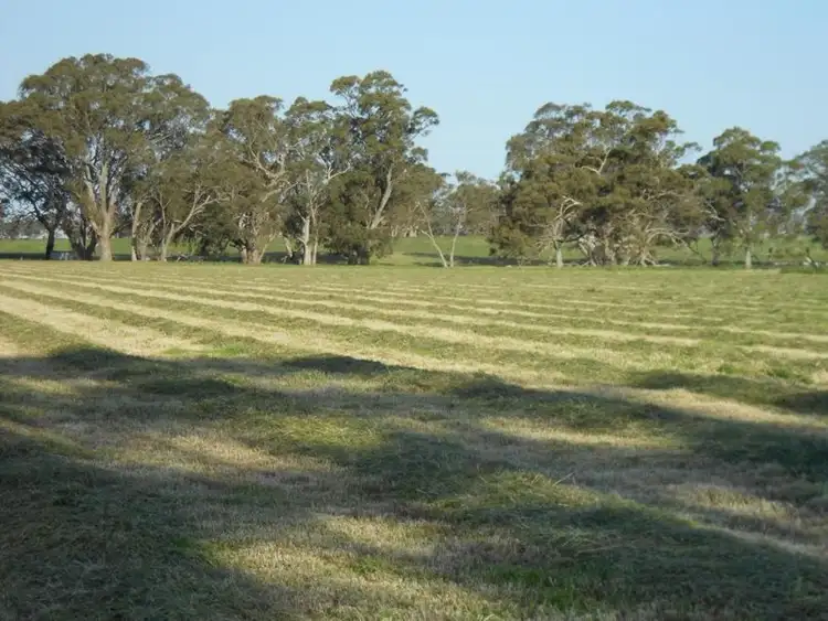 Second view of Homely land listing, Lot 101 Finlayson Road, Bordertown SA 5268