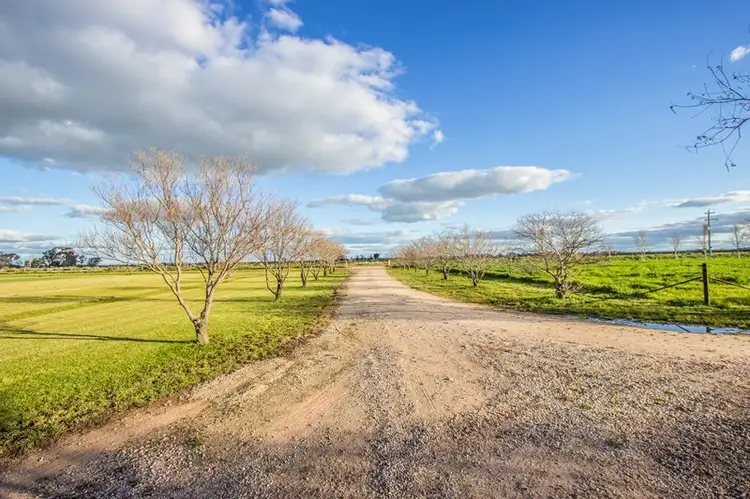 Second view of Homely house listing, Farm 283B Toorak Road, Leeton NSW 2705