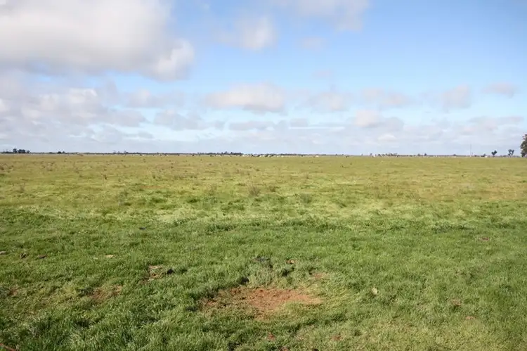 Second view of Homely rural property listing, 811 Whinfield Road, Bamawm VIC 3561