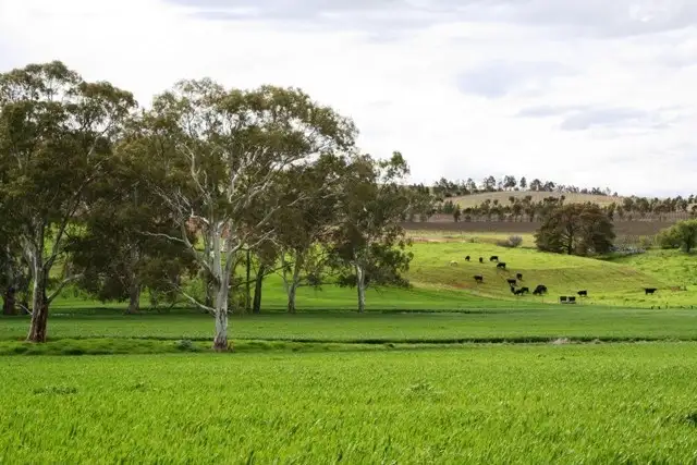 Seventh view of Homely land listing, Lt 21 Hean Road, Auburn SA 5451