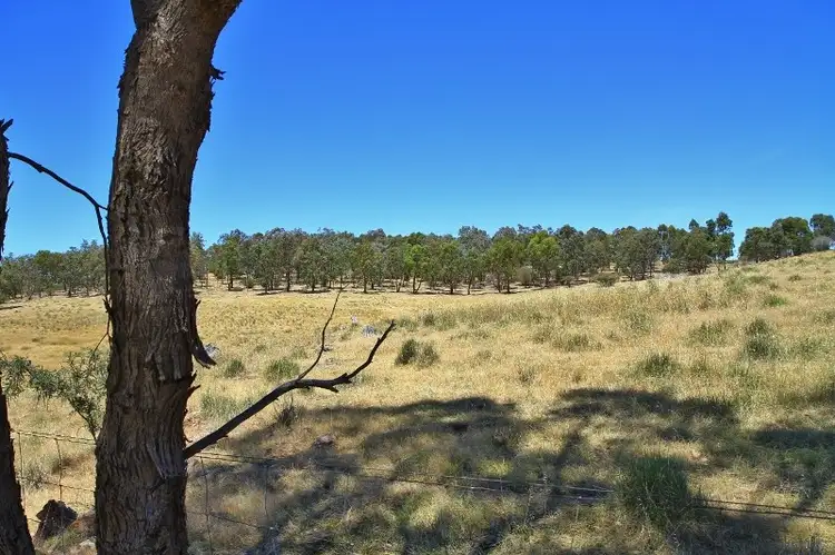 Third view of Homely rural property listing, 525 Hardings Lane, Tooborac VIC 3522