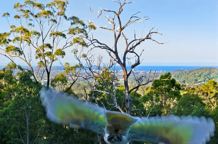 Seventh view of Homely house listing, 1/463 Trees Road, Tallebudgera QLD 4228