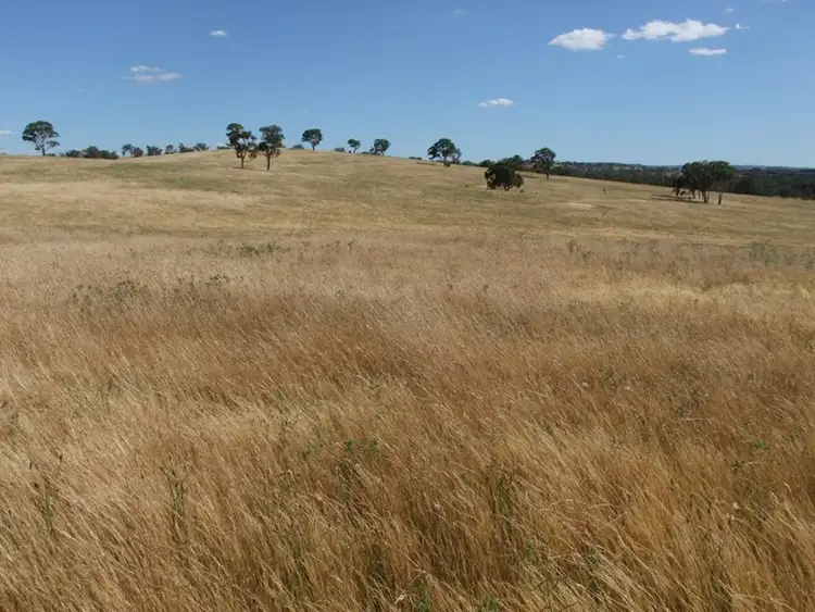 Seventh view of Homely rural property listing, Address available on request