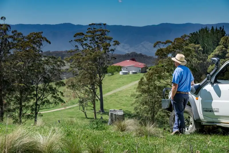 Main view of Homely rural property listing, 1600 Billirimba Road, Tenterfield NSW 2372