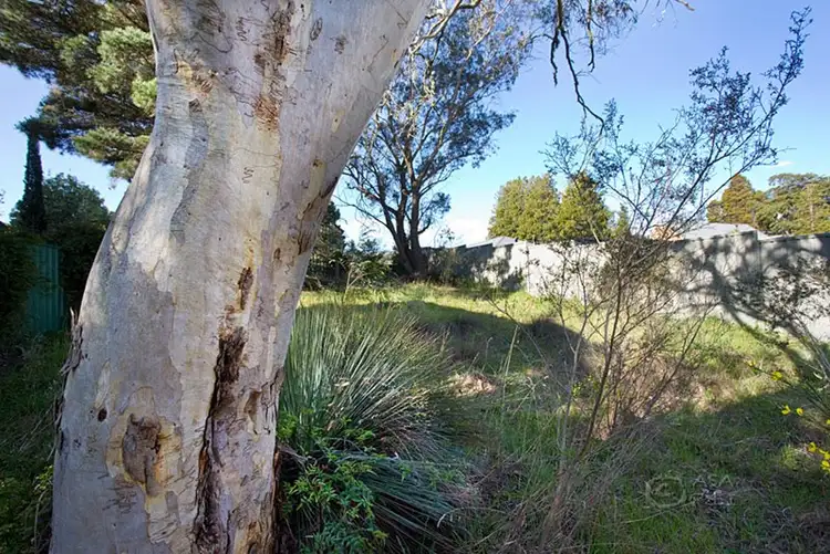 Second view of Homely land listing, Lot 10 Ailsa Street, Mount Victoria NSW 2786
