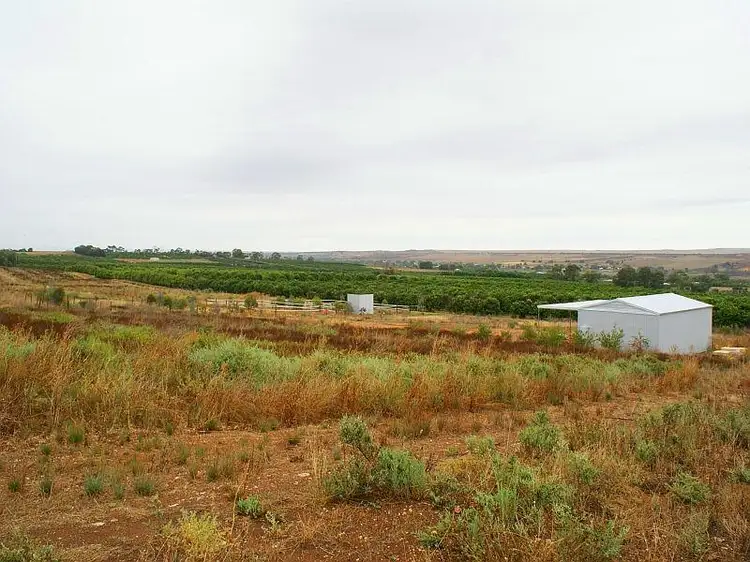 Main view of Homely land listing, Lot 296 Woodlane Drive, Mypolonga SA 5254