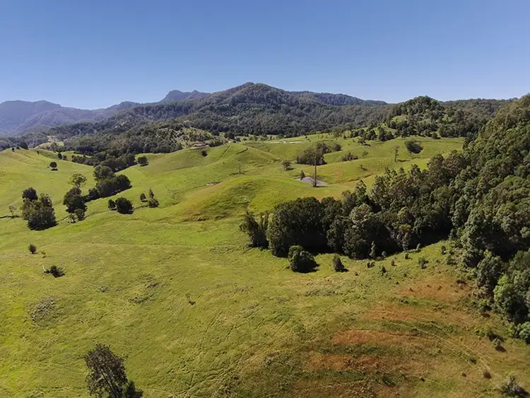 Sixth view of Homely rural property listing, 491 Nobbys Creek Road, Nobbys Creek NSW 2484