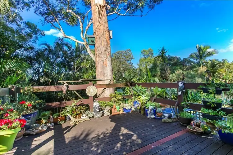12 Sandpiper Close, Buderim QLD 4556