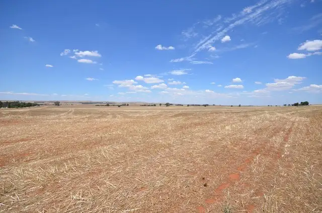 Second view of Homely rural property listing, "Bills" Farrell Flat Road, Farrell Flat SA 5416