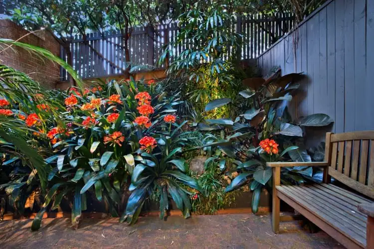 Sixth view of Homely apartment listing, 16 Kensington Street, Waterloo NSW 2017