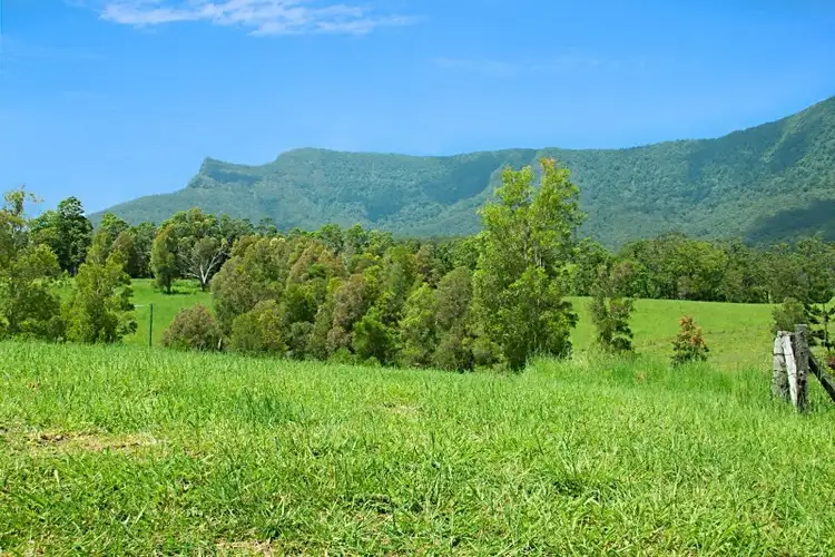 Fifth view of Homely rural property listing, 94 Starlight Way, Tyalgum NSW 2484