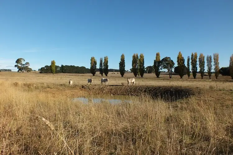 Main view of Homely rural property listing, 281 O'Connell Road, Oberon NSW 2787