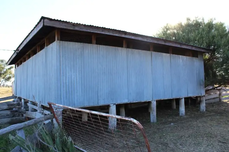 Sixth view of Homely rural property listing, 343 Merton Road, Yelarbon QLD 4388