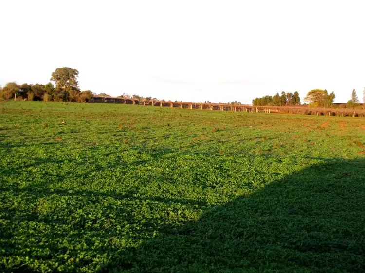 Fifth view of Homely land listing, 18 and 19 Tunkin Road, Barmera SA 5345