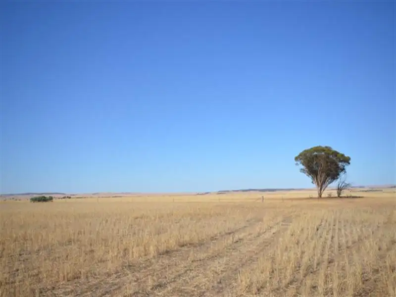 Main view of Homely rural property listing, "Andriskes" Everard via, Blyth SA 5462