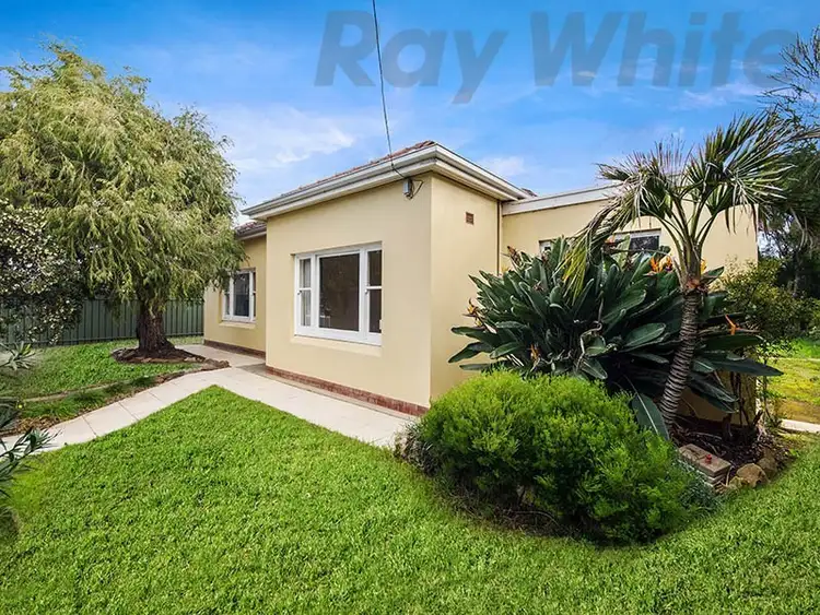 44 Marion Road, Brooklyn Park SA 5032