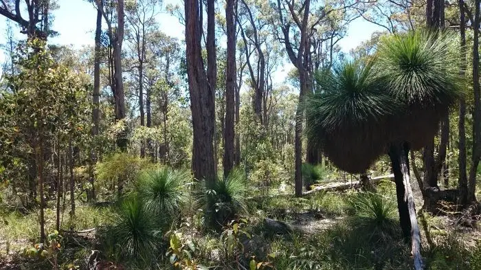 Seventh view of Homely rural property listing, Address available on request
