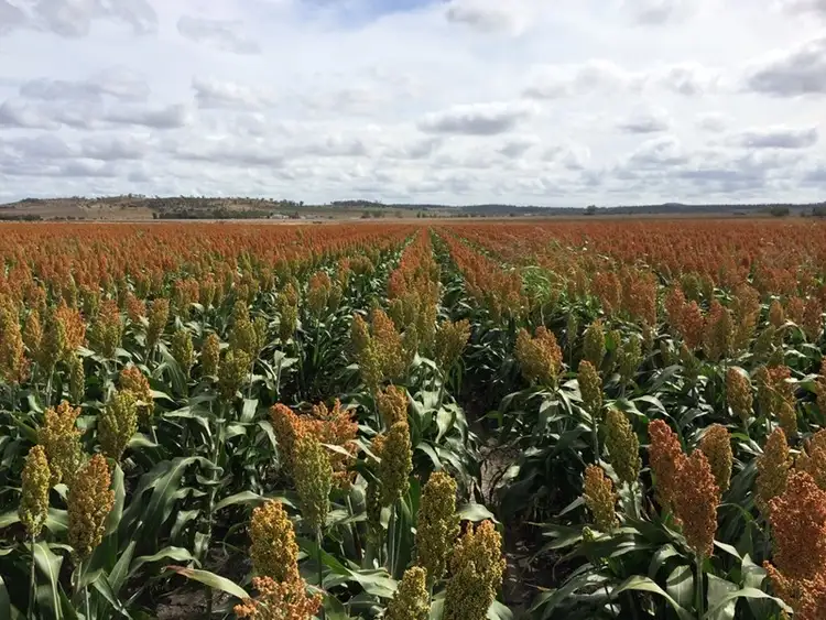 Second view of Homely rural property listing, Address available on request