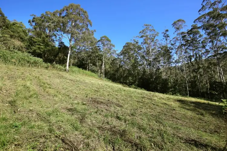 265 Bundewallah Road, Bundewallah NSW 2535