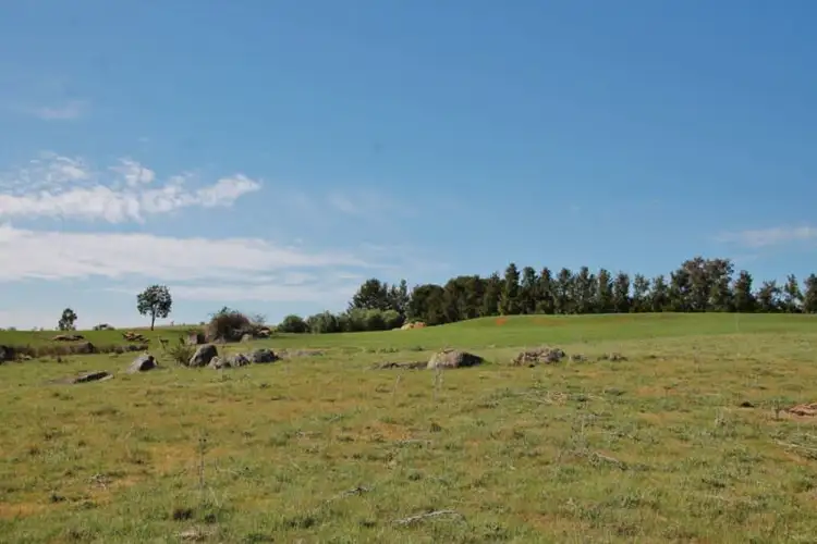 Sixth view of Homely land listing, 48 Curtis Place, Young NSW 2594