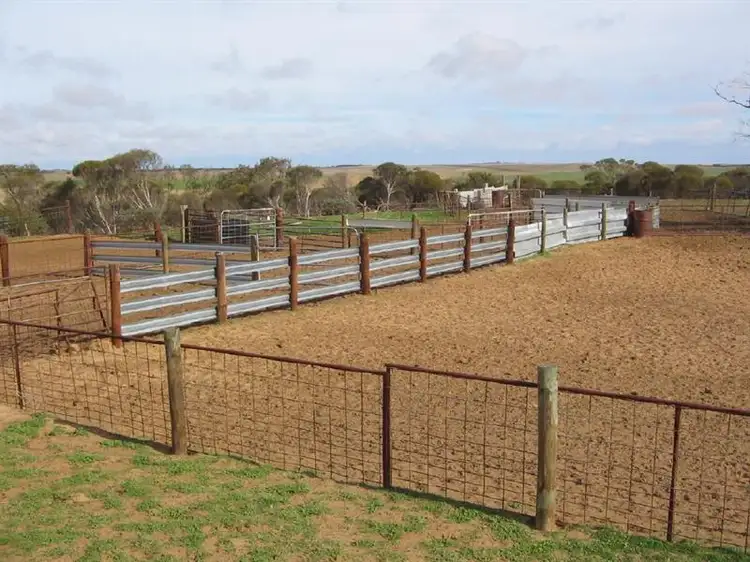 Seventh view of Homely rural property listing, Lot 32 Lee Road, Lameroo SA 5302