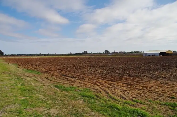 Third view of Homely rural property listing, 298 Kulkyne Street, Renmark SA 5341