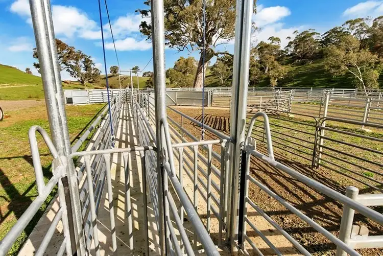 Seventh view of Homely rural property listing, Lot 325 Old Glen Road, Pewsey Vale SA 5351