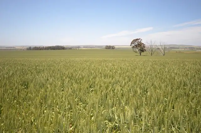 "Toringa" Toringa Road, Farrell Flat SA 5416