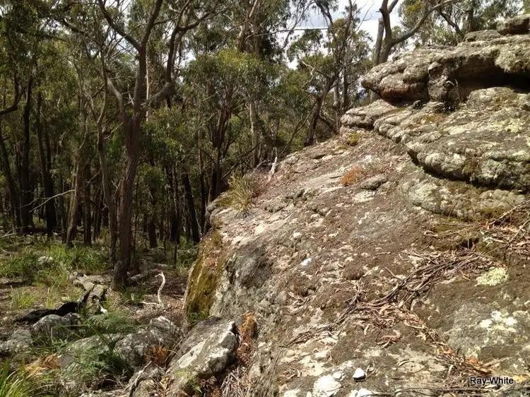 Sixth view of Homely rural property listing, 6045 Nerriga Road, Nerriga NSW 2622