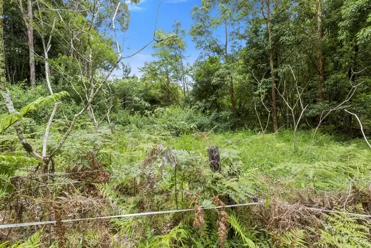Fourth view of Homely rural property listing, Lot 3 Booka Road, Upper Crystal Creek NSW 2484
