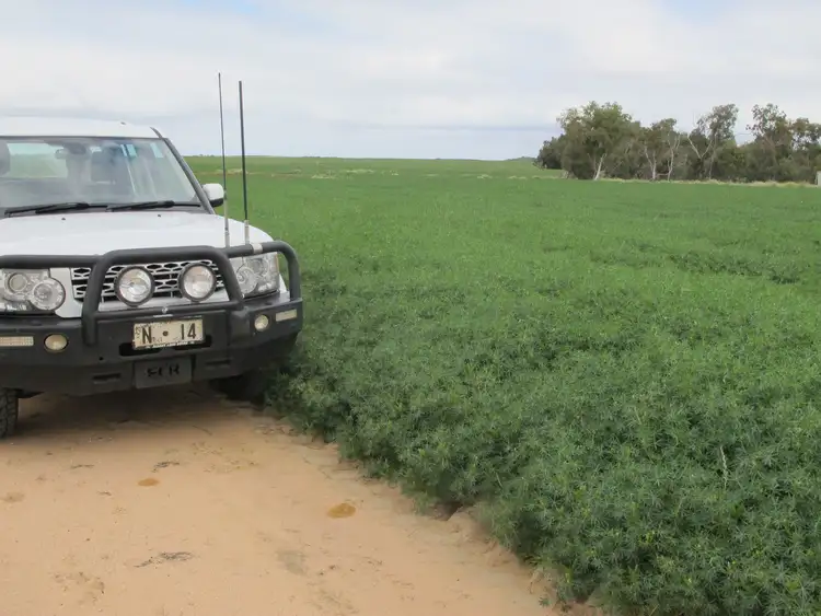 Fifth view of Homely rural property listing, Balannada Farm Marchagee, Coorow WA 6515