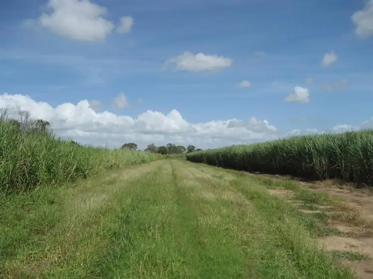 Fourth view of Homely rural property listing, Address available on request