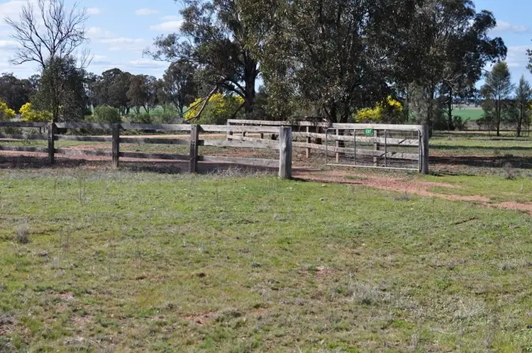 Third view of Homely rural property listing, 511 Gap Road, Pullabooka NSW 2810