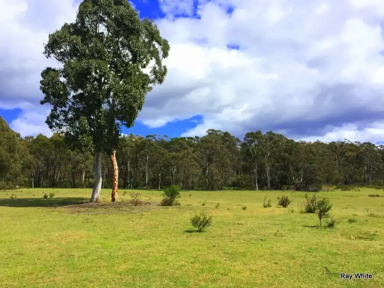 Main view of Homely rural property listing, 276 Jacquet Road, Nerriga NSW 2622